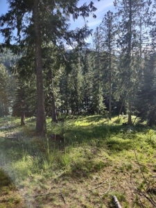 Clark For Riverfront Lot Sanders County Montana For Sale - image 4