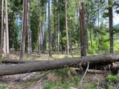 Clark For Riverfront Lot Sanders County Montana For Sale - image 2