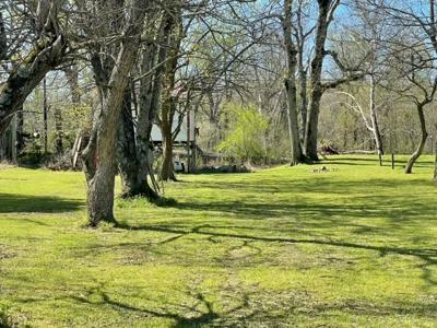 Spring River Lots For Sale in Arkansas - image 4