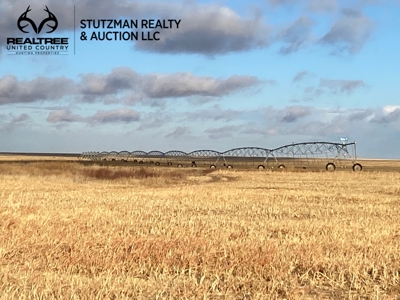 Baca County, Colorado ~ 800 Acre ~ Pivot Irrigation Farm - image 7