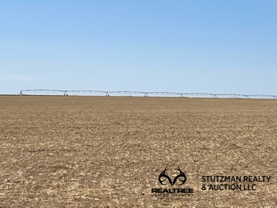Baca County, Colorado ~ 800 Acre ~ Pivot Irrigation Farm - image 5