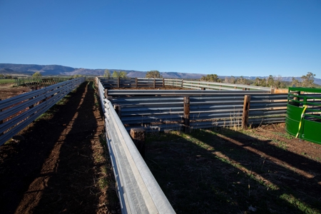 Colorado cattle ranch with grazing permits for sale - image 12