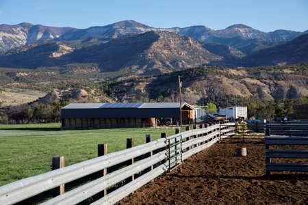 Colorado cattle ranch with grazing permits for sale - image 7