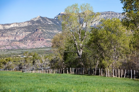 Colorado cattle ranch with grazing permits for sale - image 2