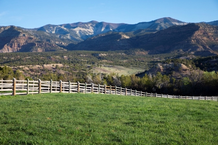 Colorado cattle ranch with grazing permits for sale - image 13