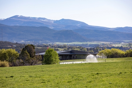 Colorado cattle ranch with grazing permits for sale - image 4