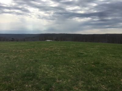 Acreage For Sale in Marshall, Arkansas - image 1