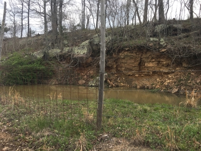 Acreage For Sale in Marshall, Arkansas - image 6