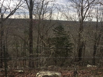 Acreage For Sale in Marshall, Arkansas - image 8