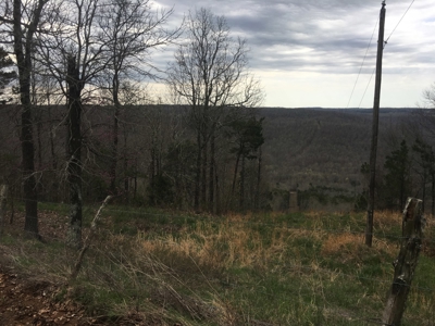 Acreage For Sale in Marshall, Arkansas - image 7