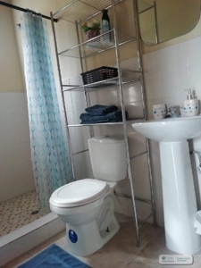 Proven Successful Airbnb Rental Business  In Punta Barco - image 9