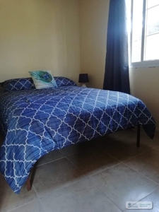 Proven Successful Airbnb Rental Business  In Punta Barco - image 31