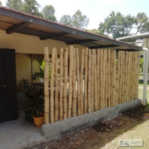 Proven Successful Airbnb Rental Business  In Punta Barco - image 26