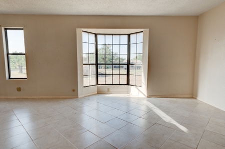 Large home and land near Mertzon, Texas - image 6