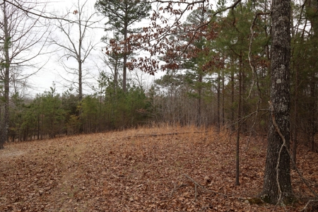 Lakeview Lot For Sale Near Lake Norfork In Arkansas - image 8