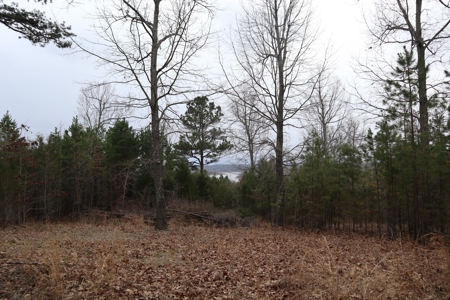 Lakeview Lot For Sale Near Lake Norfork In Arkansas - image 10