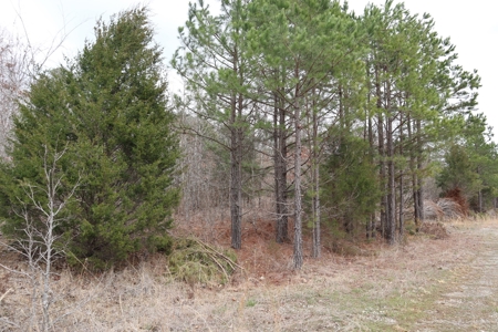 Lakeview Lot For Sale Near Lake Norfork In Arkansas - image 3