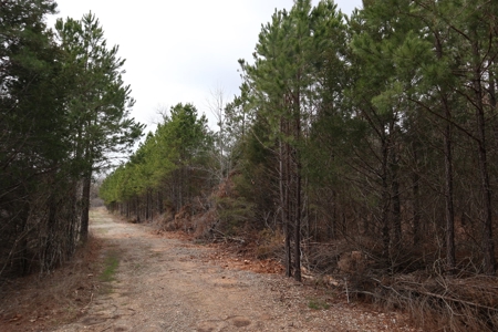 Lakeview Lot For Sale Near Lake Norfork In Arkansas - image 2
