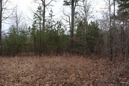 Lakeview Lot For Sale Near Lake Norfork In Arkansas - image 12