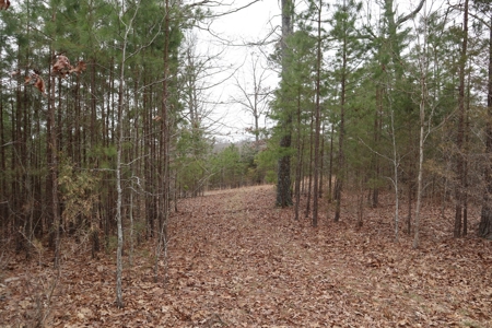 Lakeview Lot For Sale Near Lake Norfork In Arkansas - image 7