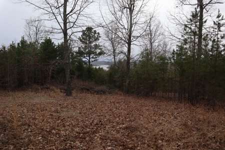 Lakeview Lot For Sale Near Lake Norfork In Arkansas - image 1