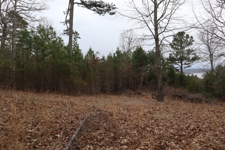 Lakeview Lot For Sale Near Lake Norfork In Arkansas - image 11