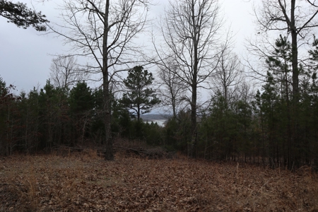 Lakeview Lot For Sale Near Lake Norfork In Arkansas - image 9