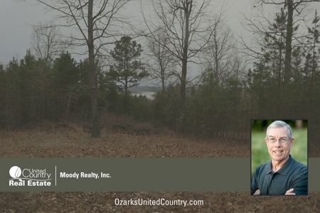 Lakeview Lot For Sale Near Lake Norfork In Arkansas - image 13