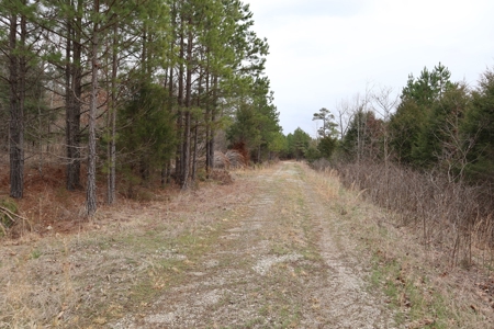 Lakeview Lot For Sale Near Lake Norfork In Arkansas - image 4