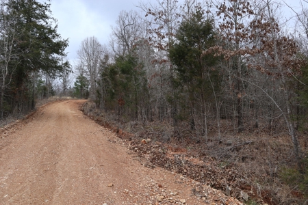 Lakeview Lot For Sale Near Lake Norfork In Arkansas - image 5