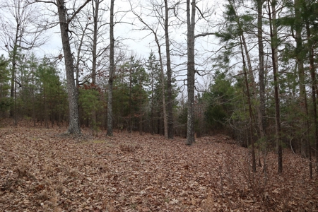 Lakeview Lot For Sale Near Lake Norfork In Arkansas - image 6