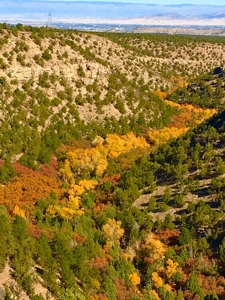 Ridgway Colorado Mountain Home Telluride Acreage Canyon - image 3