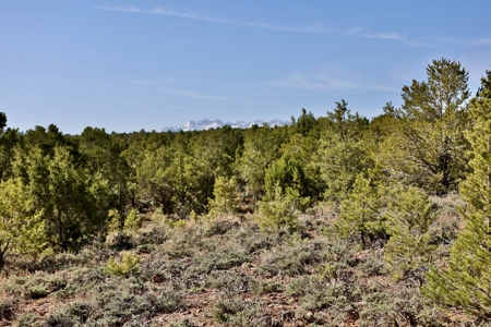 Colorado Mountain Land with Water Tap, Wells, Mountain Views - image 10
