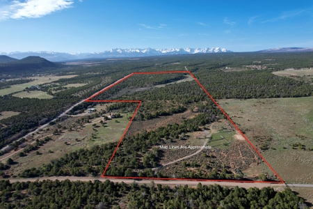 Colorado Mountain Land with Water Tap, Wells, Mountain Views - image 1