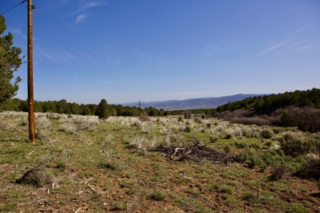 Colorado Mountain Land with Water Tap, Wells, Mountain Views - image 11