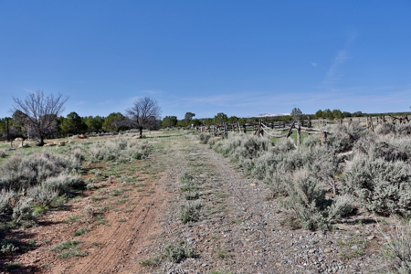 Colorado Mountain Land with Water Tap, Wells, Mountain Views - image 2