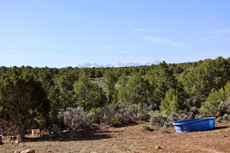 Colorado Mountain Land with Water Tap, Wells, Mountain Views - image 7
