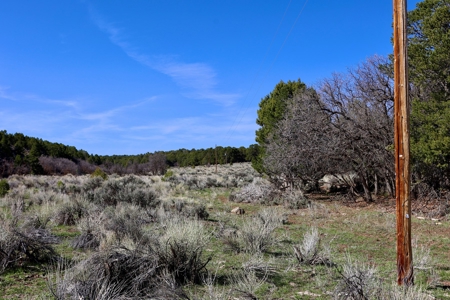 Colorado Mountain Land with Water Tap, Wells, Mountain Views - image 8