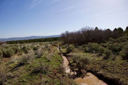Colorado Mountain Land with Water Tap, Wells, Mountain Views - image 9