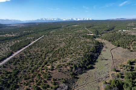 Colorado Mountain Land with Water Tap, Wells, Mountain Views - image 16