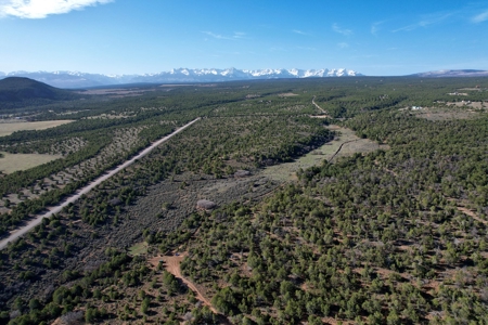 Colorado Mountain Land with Water Tap, Wells, Mountain Views - image 15