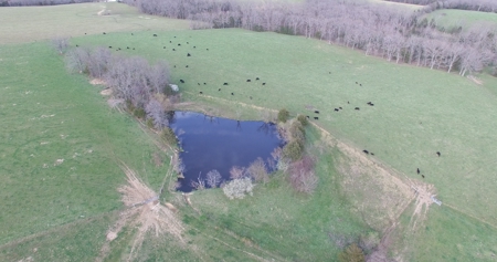 84 +/- Acres For Sale in Gasconade County, MO - image 6