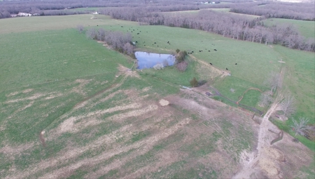 84 +/- Acres For Sale in Gasconade County, MO - image 4