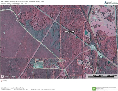 186.5 Acre Hunting Land for Sale Amite County, MS - image 16