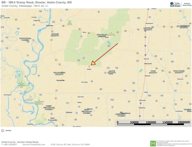 186.5 Acre Hunting Land for Sale Amite County, MS - image 12