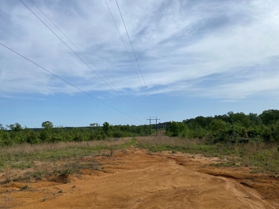 186.5 Acre Hunting Land for Sale Amite County, MS - image 2