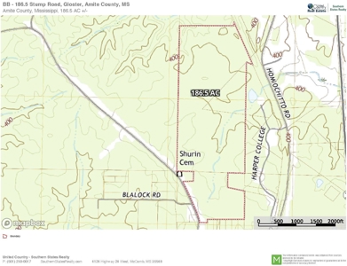 186.5 Acre Hunting Land for Sale Amite County, MS - image 15