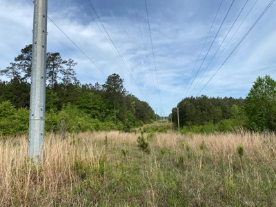 186.5 Acre Hunting Land for Sale Amite County, MS - image 9