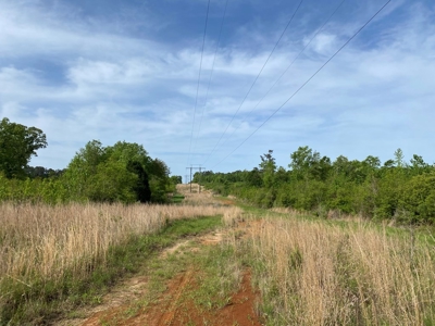 186.5 Acre Hunting Land for Sale Amite County, MS - image 3