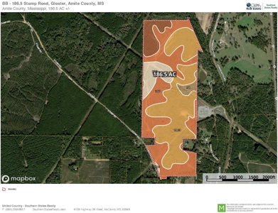 186.5 Acre Hunting Land for Sale Amite County, MS - image 17